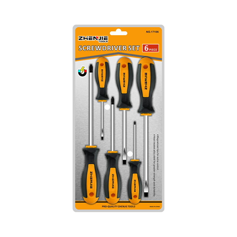 Jeu de tournevis CRV à fente et Phillips, emballage Double Blister, 6 pièces